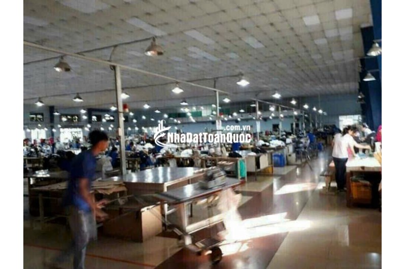 Giá tốt! Bán kho xưởng Quốc Lộ 1A Tân Thới Nhất Quận 12 1,63 ha 380 tỷ sẵn dòng tiền 24 tỷ năm