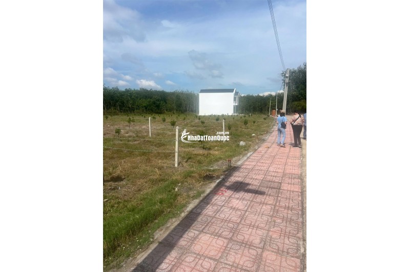 Bán Đất Phú Giáo Bình Dương 250m2, 100m2 thổ cư, đầu tư chỉ từ 250 triệu