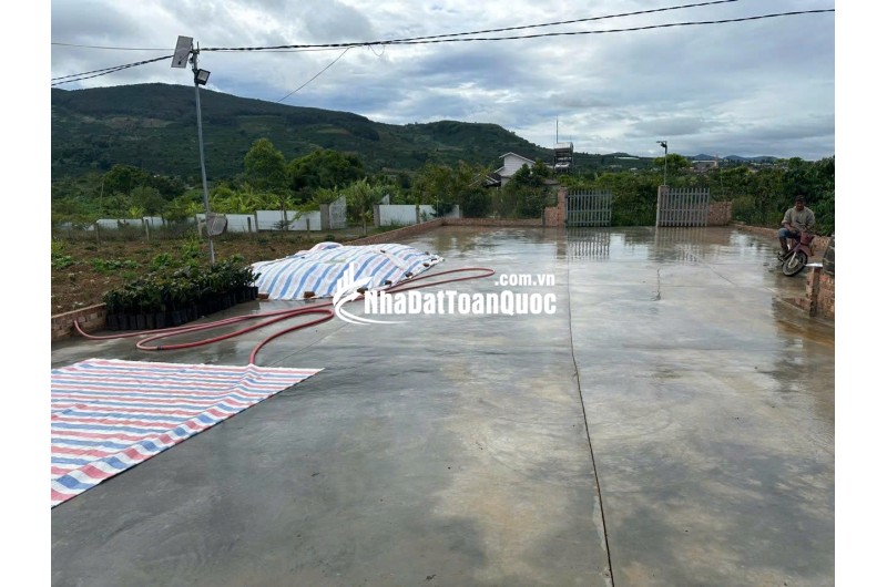 Bán 21000m2 ( 21 sào ) đất nhà , ao, vườn cà phê -Xã Liên Hiệp - Đức Trọng Lâm Đồng