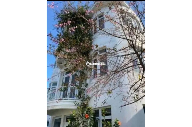 CHO THUÊ VILLA SÂN VƯỜN - CÔ GIANG PHƯỜNG 9 ĐÀ LẠT