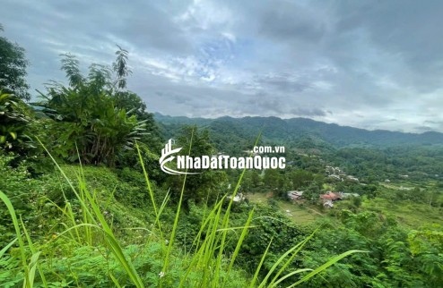 Bán đất có nhà và kho bãi tại bản tà lèng,xã thanh minh, tp Điện Biên Phủ