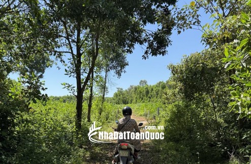 Bán đất QUargn Ngãi