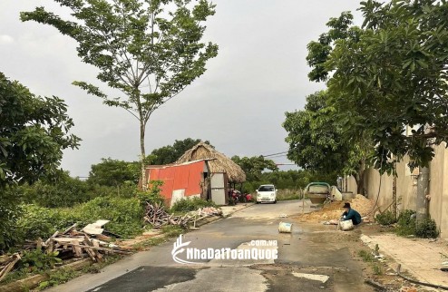 165m2 đất ở xã Bình Minh, cạnh trường quốc tế, đường nhựa vỉa hè, 1,38 tỷ