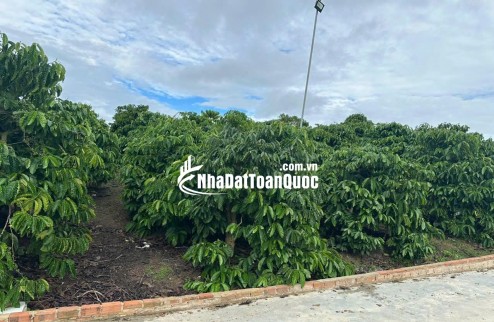 Bán 21000m2 ( 21 sào ) đất nhà , ao, vườn cà phê -Xã Liên Hiệp - Đức Trọng Lâm Đồng