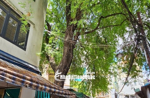 Chính chủ bán nhà 29/19 Bùi Thị Xuân, P2, Quận Tân Bình 2,1 tỷ, 3 tầng hẻm xe hơi sạch sẽ,