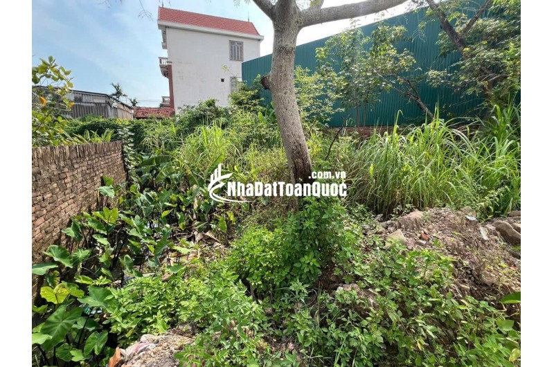 Bán đất thổ cư 63m2 sổ đỏ riêng tại Đắc Sở, Hoài Đức TP Hà Nội