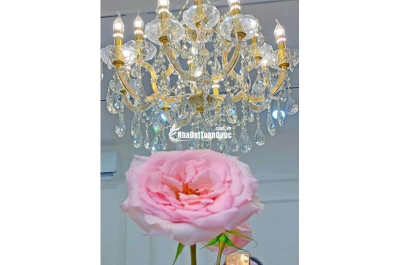Quận Phú Nhuận ! SANG LẠI MB SHOP DECOR MỚI ĐẸP – GIÁ RẺ, Tel : 0909782578 ( Chính chủ )
