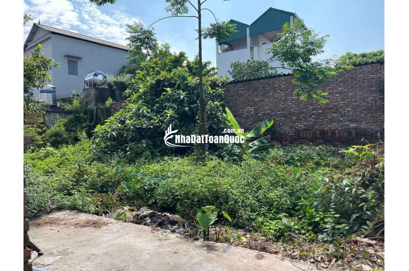 CHÍNH CHỦ BÁN ĐẤT XÃ THUẬN AN - HÀ NỘI, DIỆN TÍCH 45.5 M2, GIÁ 2.3 TỶ