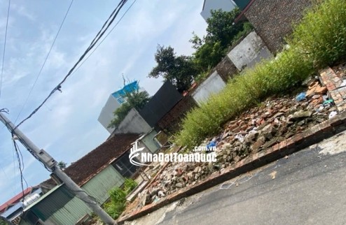 Bán đất Đông Hội Đông Anh 48m, đường thông ôtô đỗ cửa, gần cầu Đông Trù, nhỉnh 5 tỷ ( TL)