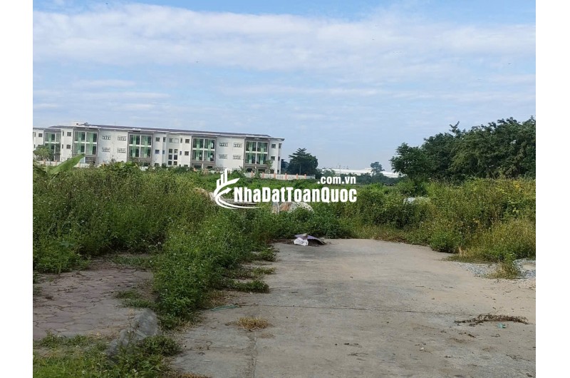 B.á.n đất đấu giá tổ 3 (Giai Lạc), xã Quang Minh, HN, DT80m, MT5m, vỉa hè, ôtô, g.i.á đầu tư 4.xtỷ, Lh 0869344682