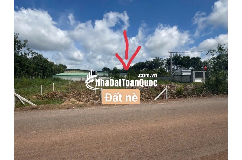 Bán Đất Minh Hoà Dầu Tiếng liền kề dân cư 600m2 giá chỉ 300tr