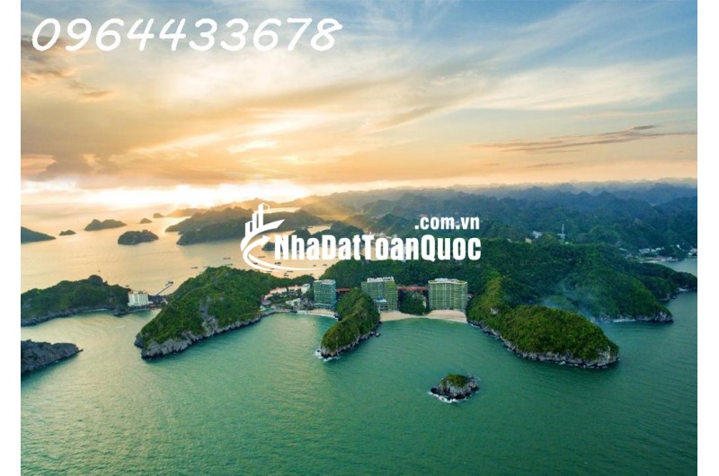 Flamingo Cát Bà – Resort không gian xanh ở 2 bãi tắm Cát Cò 1 & 2, giá chỉ từ khoảng 1,x tỷ
