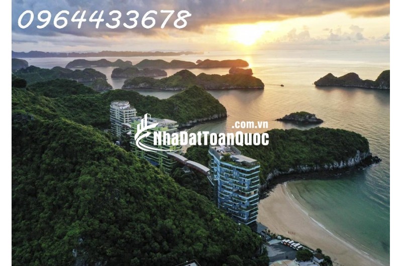 Flamingo Cát Bà – Resort không gian xanh ở 2 bãi tắm Cát Cò 1 & 2, giá chỉ từ khoảng 1,x tỷ