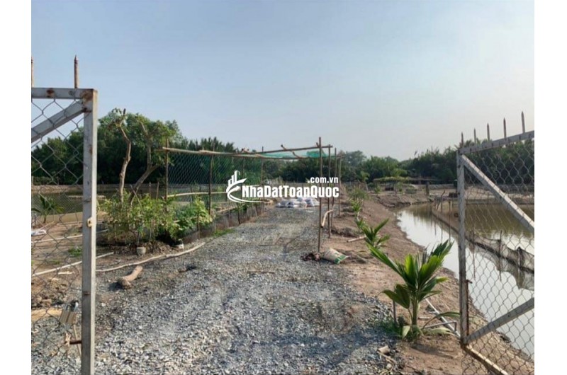 Bán lô đất thổ phân lô mặt tiền đê bao giá 7,5 tỷ