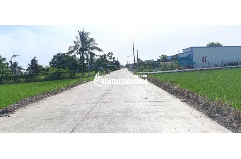 Bán lô đất thổ lúa làm nhà vườn giá 1,65 tỷ