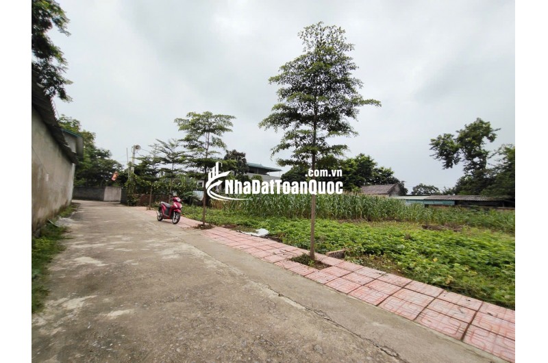 Chính Chủ Gửi Bán 144 m 50 thổ cư  chỉ 1, x tỷ 
Nhuận Trạch Lương Sơn -HB (PHÚ THỌ MỚI)