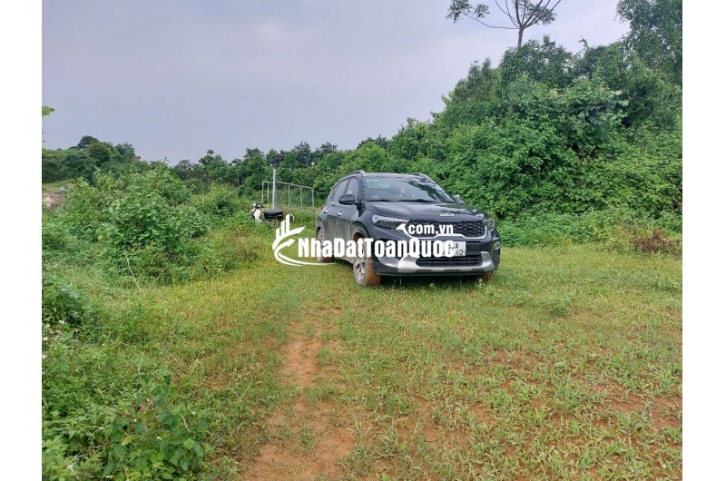 CHÍNH CHỦ CẦN BÁN  2,5 ha ĐẤT BÁM SUỐI VIEW SIÊU ĐEP TẠI LƯƠNG SƠN – PHÚ THỌ