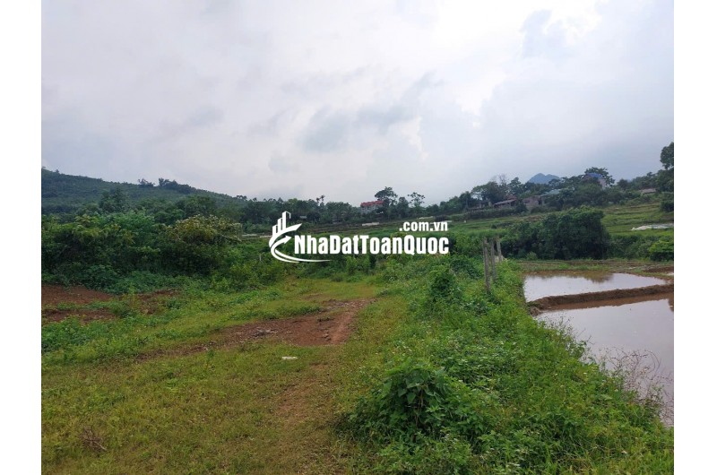 CHÍNH CHỦ CẦN BÁN  2,5 ha ĐẤT BÁM SUỐI VIEW SIÊU ĐEP TẠI LƯƠNG SƠN – PHÚ THỌ