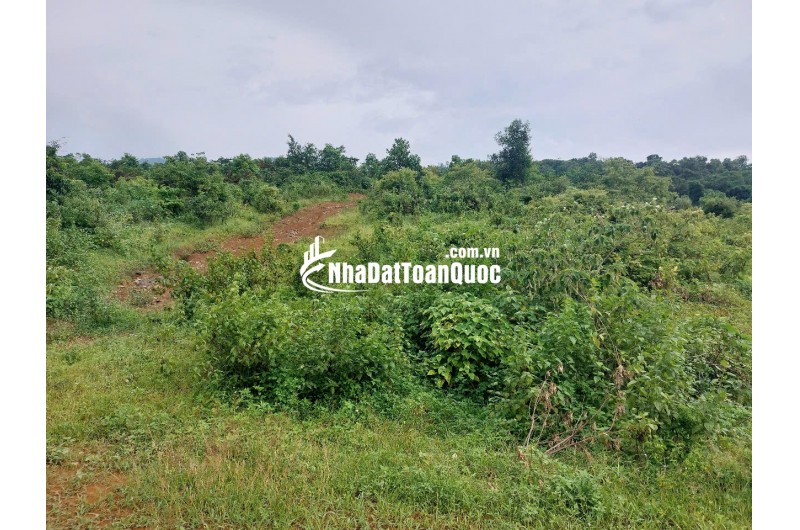 CHÍNH CHỦ CẦN BÁN  2,5 ha ĐẤT BÁM SUỐI VIEW SIÊU ĐEP TẠI LƯƠNG SƠN – PHÚ THỌ