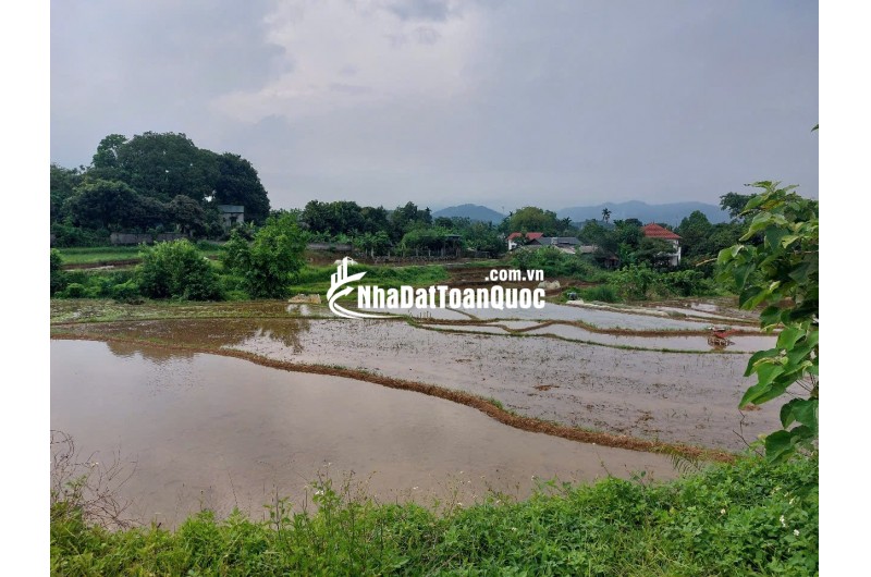 CHÍNH CHỦ CẦN BÁN  2,5 ha ĐẤT BÁM SUỐI VIEW SIÊU ĐEP TẠI LƯƠNG SƠN – PHÚ THỌ