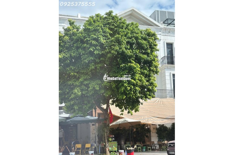 Shophouse rẻ nhất Vinhomes Ocean Park 1, Gia Lâm, Hà Nội. MTG