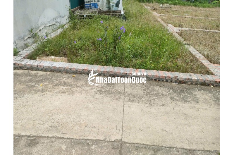 BÁN ĐẤT TỔ 9 (ẤP TRE), XÃ QUANG MINH, HN - NHÕ THÔNG BÀN CỜ, ÔTÔ VÀO ĐẤT, 100% THỔ CƯ, GIÁ ĐẦU TƯ (chỉ 5xtr/m)