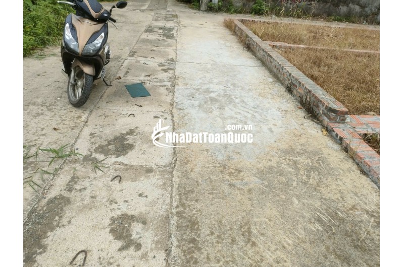 BÁN ĐẤT TỔ 9 (ẤP TRE), XÃ QUANG MINH, HN - NHÕ THÔNG BÀN CỜ, ÔTÔ VÀO ĐẤT, 100% THỔ CƯ, GIÁ ĐẦU TƯ (chỉ 5xtr/m)