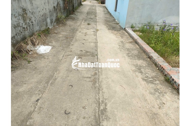 BÁN ĐẤT TỔ 9 (ẤP TRE), XÃ QUANG MINH, HN - NHÕ THÔNG BÀN CỜ, ÔTÔ VÀO ĐẤT, 100% THỔ CƯ, GIÁ ĐẦU TƯ (chỉ 5xtr/m)