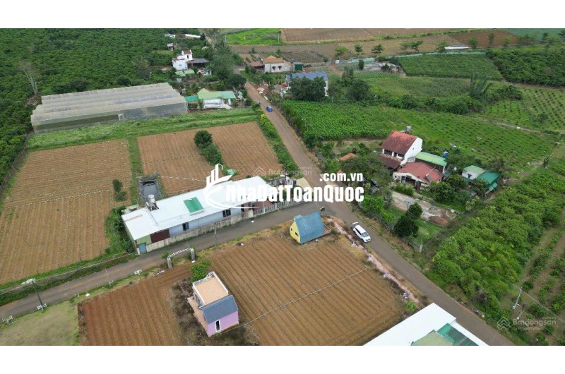 BÁN LÔ ĐẤT PHƯỜNG 2 BẢO LỘC GẦN NGÃ NĂM ĐAMBRI (NHÁNH KHÚC THỪA DỤ)