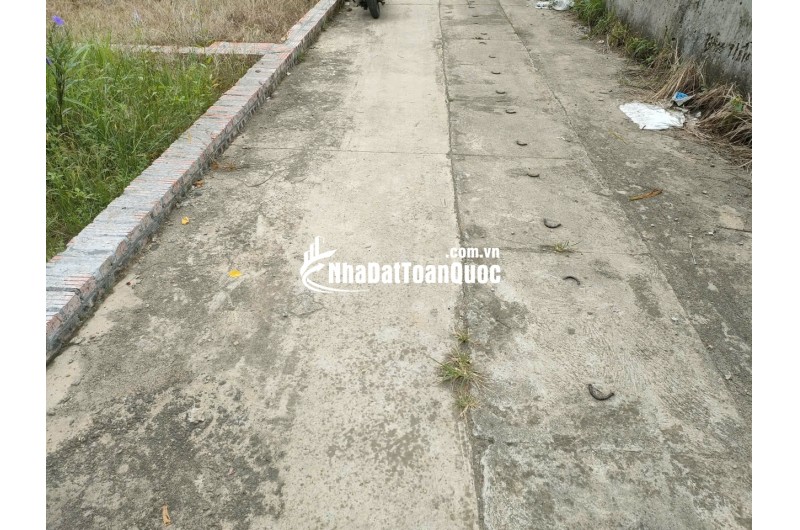 BÁN ĐẤT TỔ 9 (ẤP TRE), XÃ QUANG MINH, HN - NHÕ THÔNG BÀN CỜ, ÔTÔ VÀO ĐẤT, 100% THỔ CƯ, GIÁ ĐẦU TƯ (chỉ 5xtr/m)