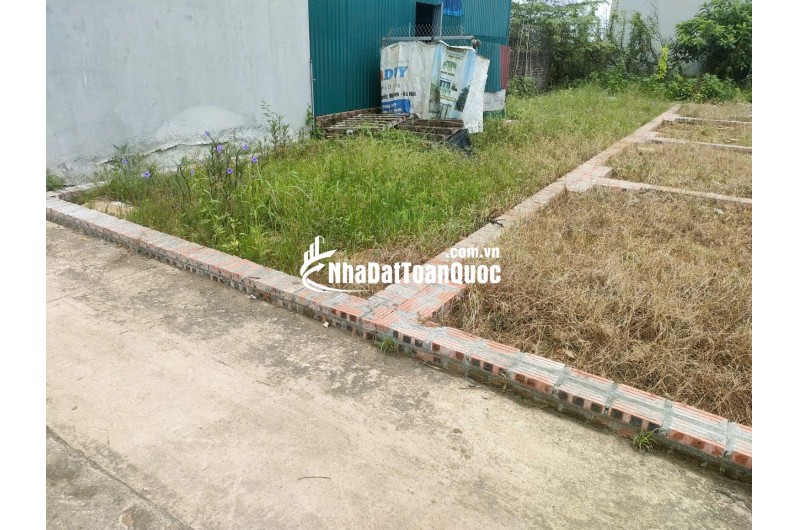 BÁN ĐẤT TỔ 9 (ẤP TRE), XÃ QUANG MINH, HN - NHÕ THÔNG BÀN CỜ, ÔTÔ VÀO ĐẤT, 100% THỔ CƯ, GIÁ ĐẦU TƯ (chỉ 5xtr/m)