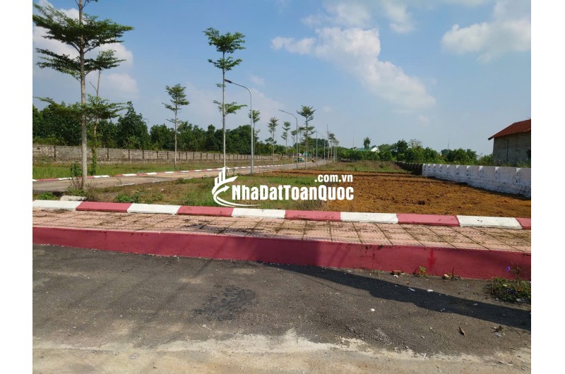 Chính chủ bán đất tại La gián, Cổ đông, sơn tây 100m2 MT 5.50m giá FO cho nhà đầu tư.