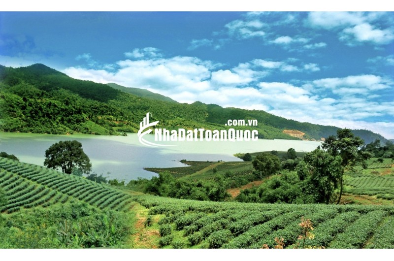 Sun Valley Thiên Đường nghĩ Dưỡng Bảo Lộc Lâm Đồng