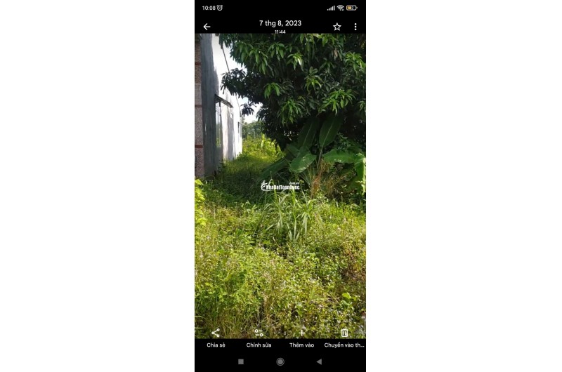 Bán đất nền MT Đường Mới Xã Thanh.Sơn H.ĐQ,Tỉnh Đồng Nai 6,5m x27m 320 triệu