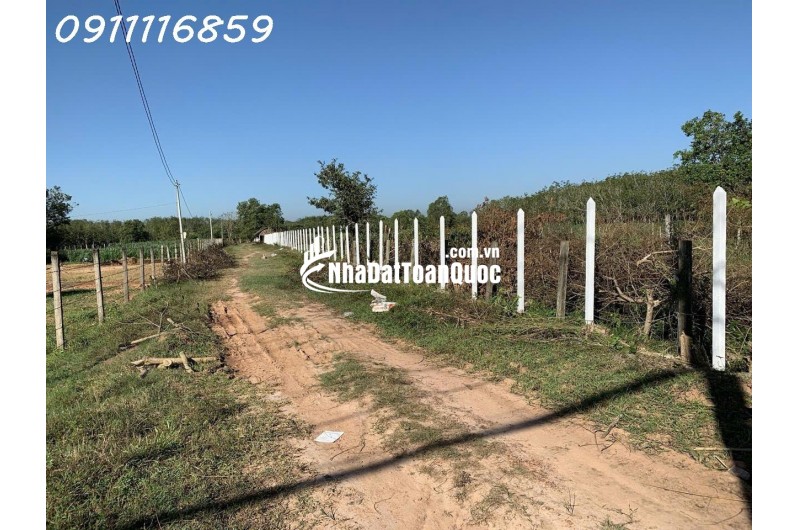 Cần bán 1.8ha Đất MT Nguyễn Thị Rành Củ Chi 79 tỷ.