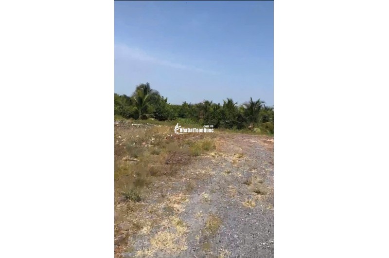 ĐẤT CHÍNH CHỦ - Bán 12.000M2 Đất Lúa - 2 Mặt Tiền Châu Thị Kim, An Vĩnh Ngãi, TP Tân An