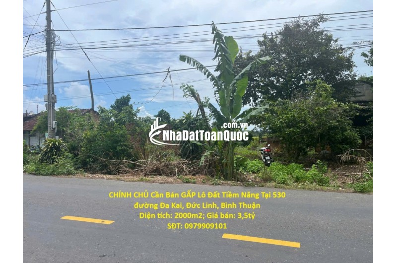 CHÍNH CHỦ Cần Bán GẤP Lô Đất Tiềm Năng Tại 530 đường Đa Kai, Đức Linh, Bình Thuận