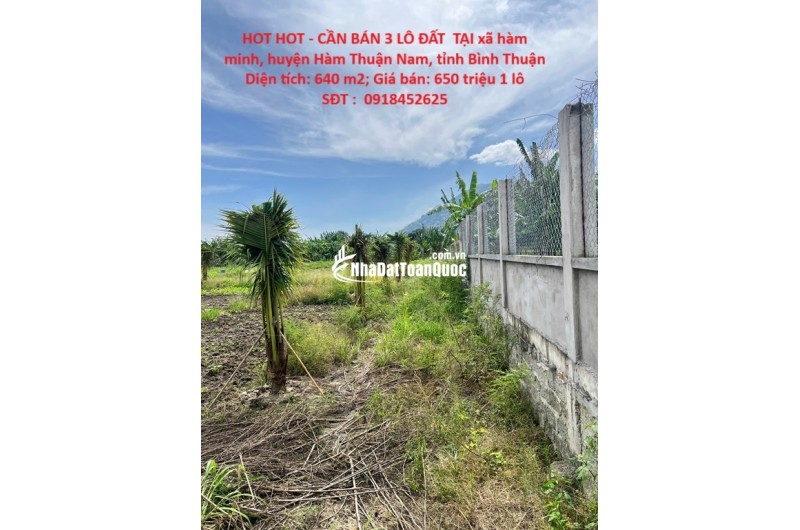 HOT HOT - CẦN BÁN 3 LÔ ĐẤT  TẠI xã hàm minh, huyện Hàm Thuận Nam, tỉnh Bình Thuận