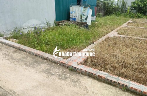 BÁN ĐẤT TỔ 9 (ẤP TRE), XÃ QUANG MINH, HN - NHÕ THÔNG BÀN CỜ, ÔTÔ VÀO ĐẤT, 100% THỔ CƯ, GIÁ ĐẦU TƯ (chỉ 5xtr/m)