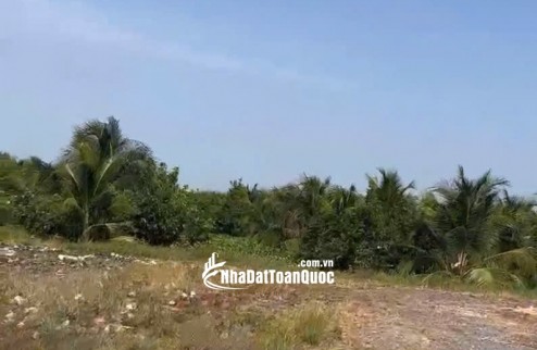 ĐẤT CHÍNH CHỦ - Bán 12.000M2 Đất Lúa - 2 Mặt Tiền Châu Thị Kim, An Vĩnh Ngãi, TP Tân An