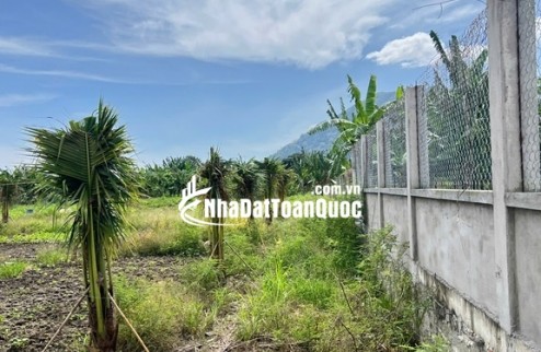 HOT HOT - CẦN BÁN 3 LÔ ĐẤT  TẠI xã hàm minh, huyện Hàm Thuận Nam, tỉnh Bình Thuận