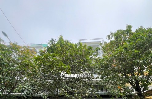 BÁN NHÀ TRỌ KDC BẾN LỨC (CHỢ BÌNH ĐIỀN) 240M2 SHR 25TỶ. LH:0866977572.