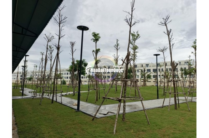 Bán đất dự án trả góp không lãi suất,đất đẹp ở mặt tiền QL19 Quy Nhơn Giá chỉ từ 2,2 tỷ/lô diện tích 80m2,