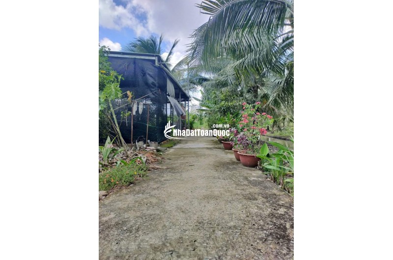 Đất nền vuông vức 285m2 tại Phú Tân, TP Bến Tre – giá rẻ bất ngờ!