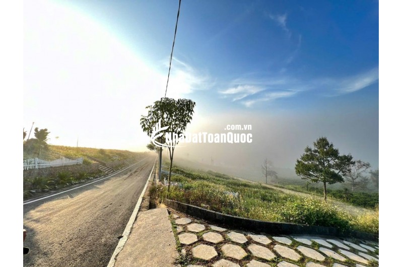 [HOT] Sở hữu ngay 1 lô tại NaLi Chill - Homestay and BBQ giá bán chỉ 850TR