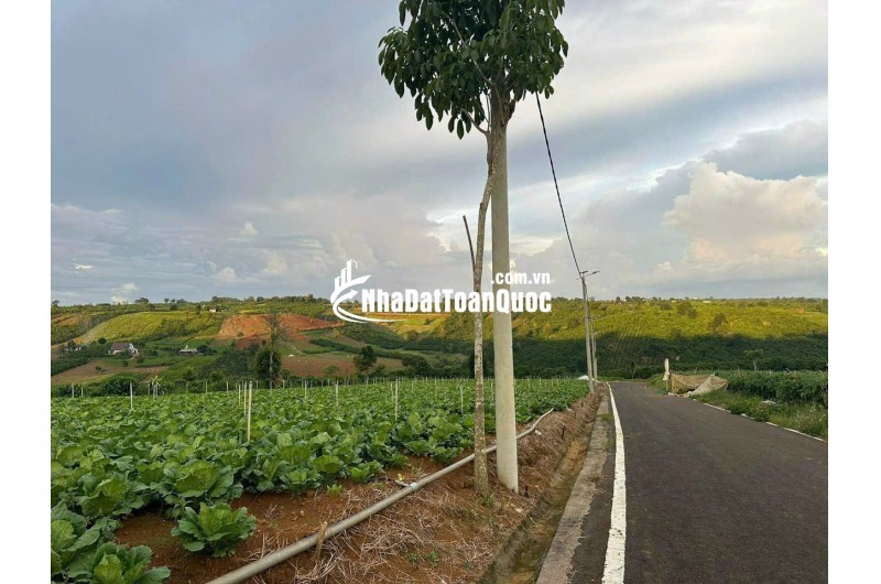 [HOT] Sở hữu ngay 1 lô tại NaLi Chill - Homestay and BBQ giá bán chỉ 850TR