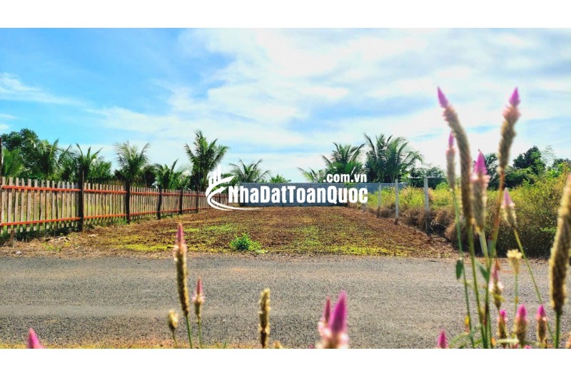 Kẹt tiền Chính Chủ bán gấp đất Xuyên Mộc giá rẻ 344m² Gần Cao Tốc, Giá 2,2 Tỷ Sổ hồng ngay