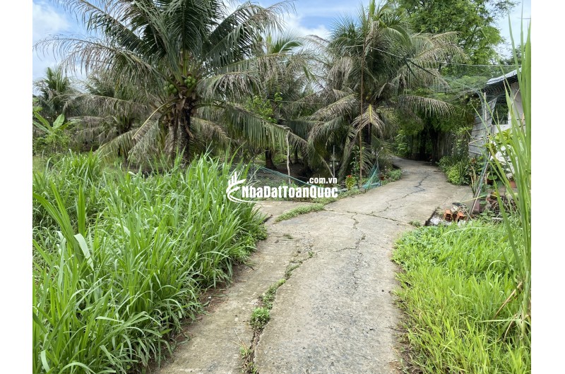 Đất nền vuông vức 285m2 tại Phú Tân, TP Bến Tre – giá rẻ bất ngờ!