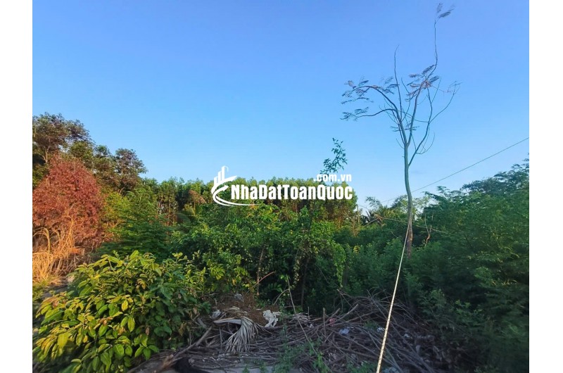 Chính chủ gửi bán đất ngay Mỹ Thuận-Long Mỹ-Bà Rịa (Phước Hải Long Đất mới,gần trường cấp 3 Dương Bạch Mai- Bà Rịa) -0909808615