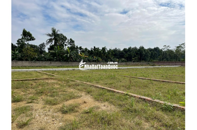 ⏳ CƠ HỘI HIẾM – SỞ HỮU NGAY LÔ ĐẤT NỀN HAMI CAO DƯƠNG – PHÚ THỌ